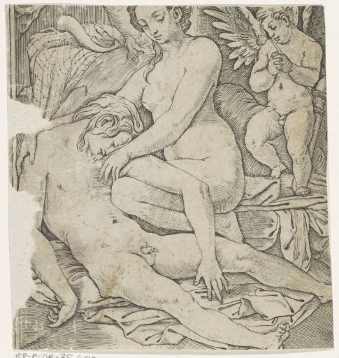 Venus and the Dead Adonis