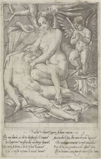 Venus and the Dead Adonis