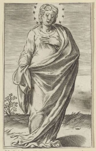 The Virgin Mary with a Crown of Stars