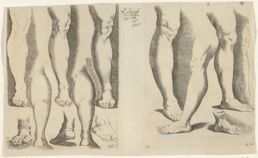 Studies of legs