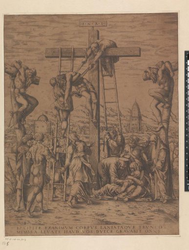 The Deposition
