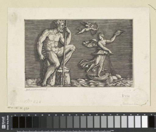 Galatea Escaping from Polyphemus