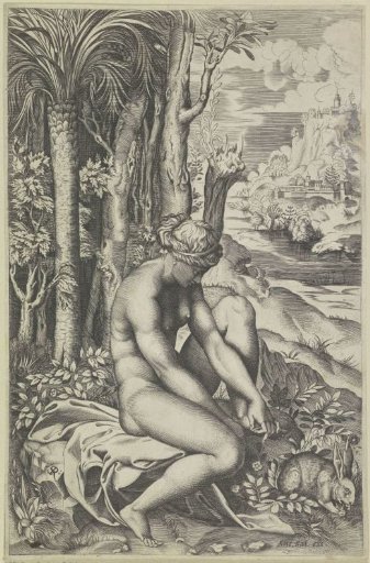 Venus and the Rose