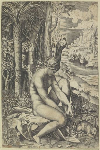 Venus and the Rose