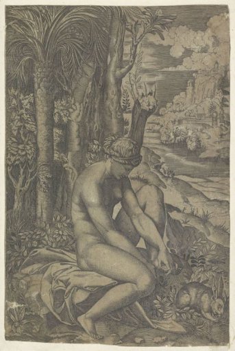 Venus and the Rose