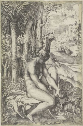 Venus and the Rose