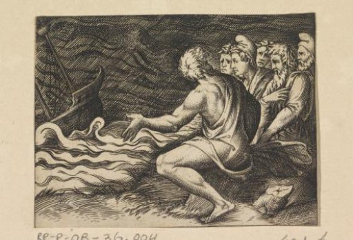 Witnesses of a Shipwreck