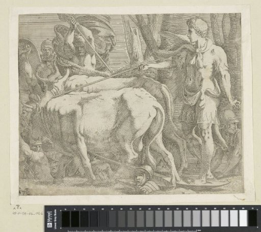 Jason plows the field where he has sown dragon's teeth