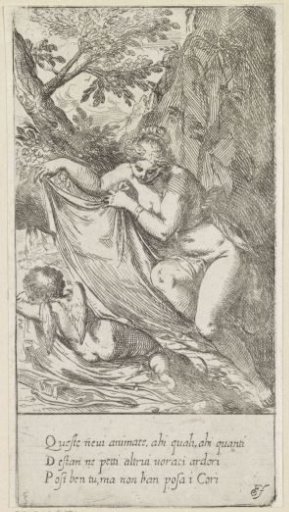 Venus covers sleeping Cupid