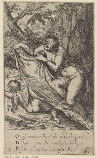 Venus covers sleeping Cupid