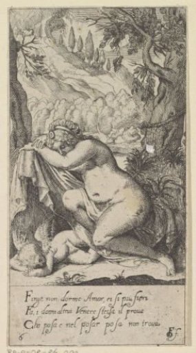 Sleeping Venus and Cupid