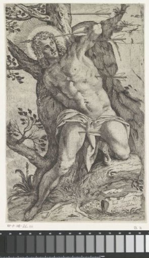 Saint Sebastian