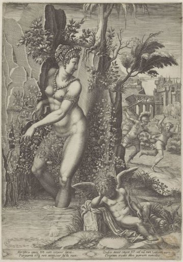 Venus and the Rose