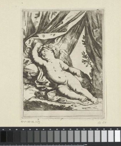 Sleeping Amor in a Tent