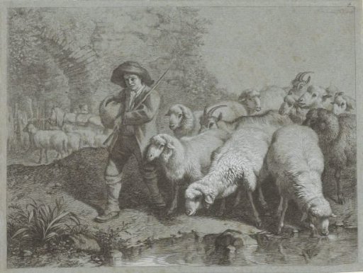 Shepherd with a flock of sheep and goats