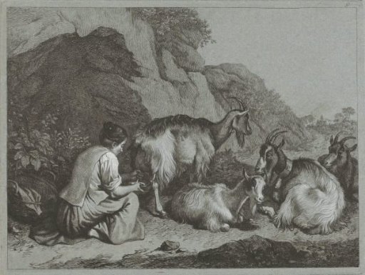 Shepherdess with a flock of goats