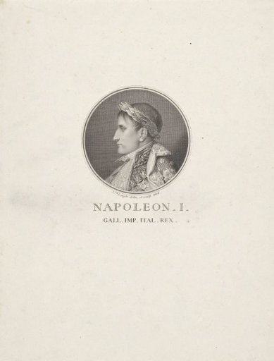 Portrait of Napoleon I Bonaparte, Emperor of the French
