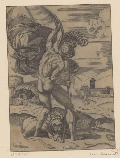 Man with a flag