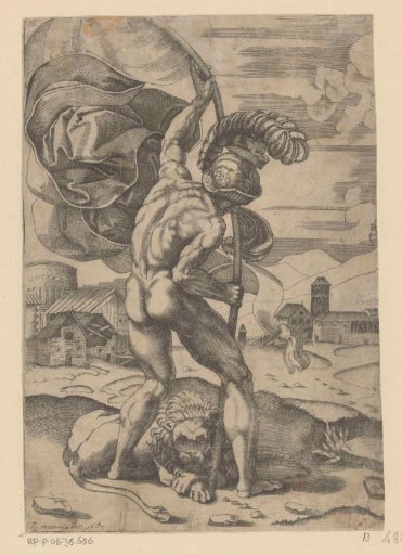 Man with a flag