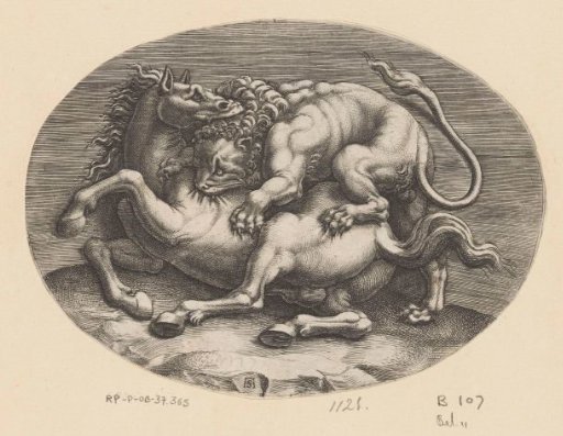 Horse attacked by a lion