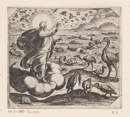 God creates the birds and the fish