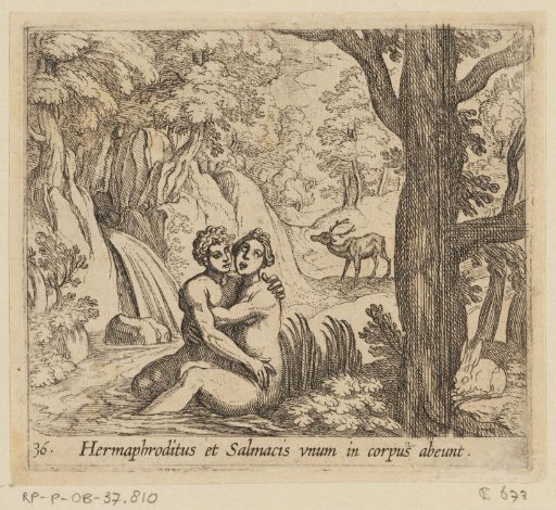 Salmacis and Hermaphroditus