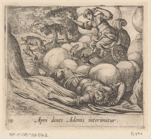 De metamorfose van Adonis
