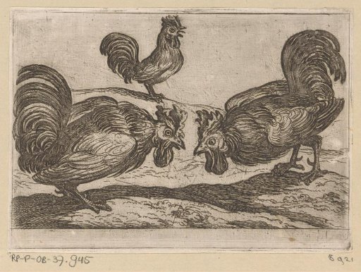 Two Fighting Cocks