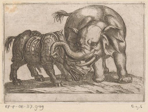 A Rhinoceros Fighting an Elephant