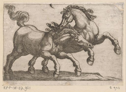 Two Fighting Horses