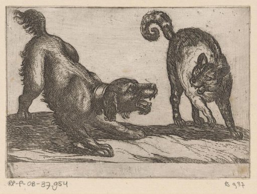 A Dog Fighting a Cat