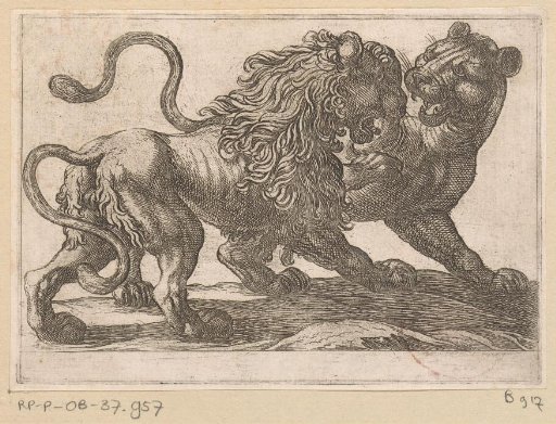 A Lion Fighting a Lioness