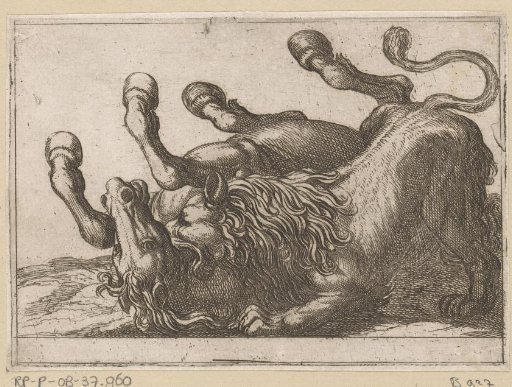A Lion Biting the Neck of a Horse