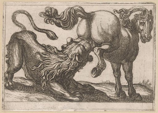 A Horse Trampling a Lion
