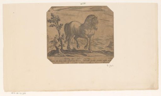 Standing horse turned to the right