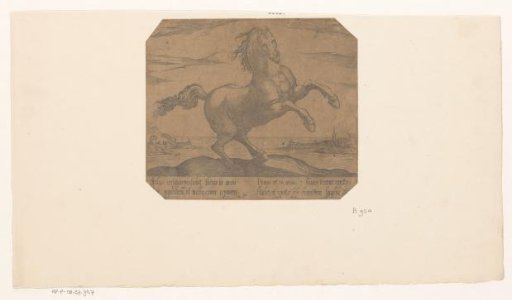 Rearing horse looking forward before a seascape