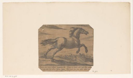 Horse galloping to the right