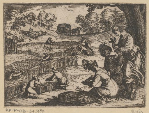 Hunters catching small birds in the tall grass
