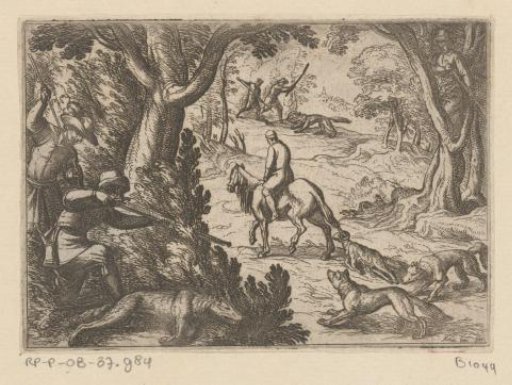Wolf hunt with a dead ram as bait