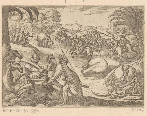 Hunt on elephants