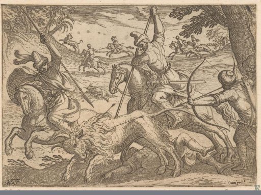 Hunt on wild bulls