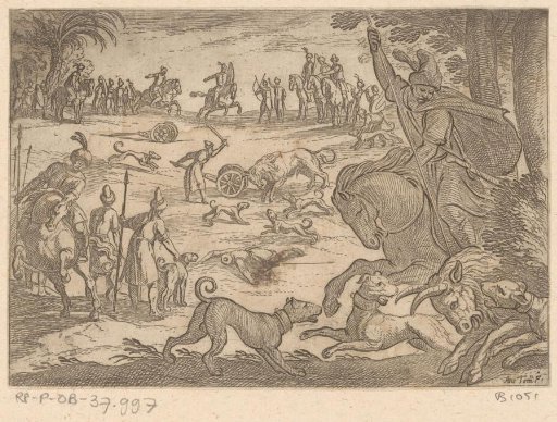 Hunt on wild bulls