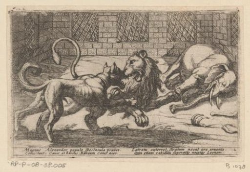 Dog, lion and elephant in a cage