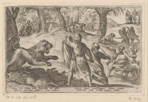 Hunting of Lions