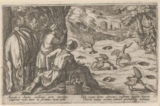 Hunting of Birds with Traps and Birdlime