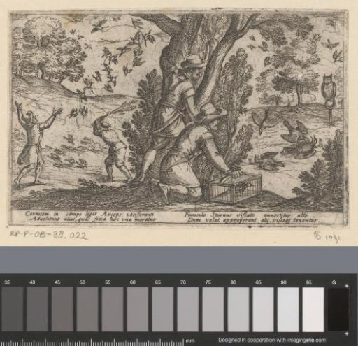 Hunters Catching Birds
