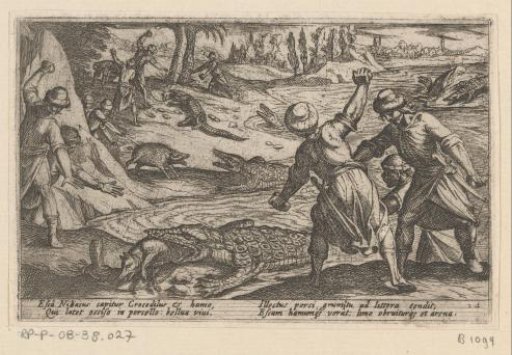 Hunters Killing Crocodiles and Using Wild Boars as Bait