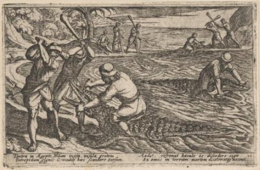Hunters Catching and Killing Crocodiles