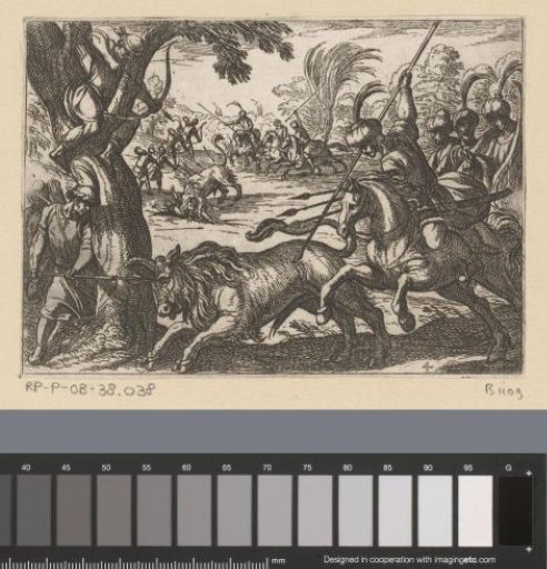 Hunting of bison