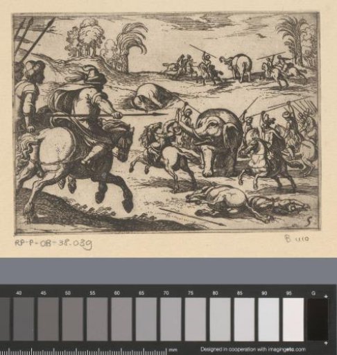 Hunting of elephants